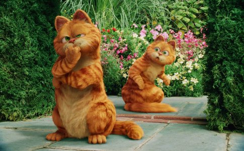 Garfield: A Tail of Two Kitties photo