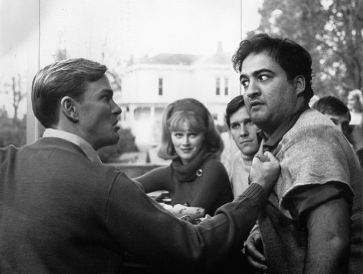 National Lampoon's Animal House photo