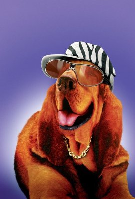 Racing Stripes photo