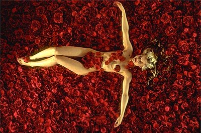 American Beauty photo