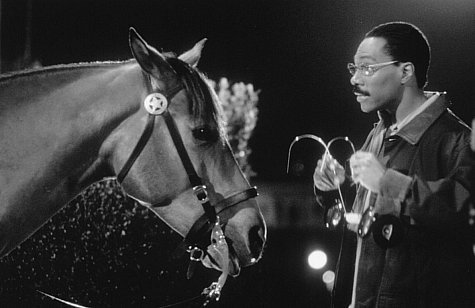 Doctor Dolittle photo