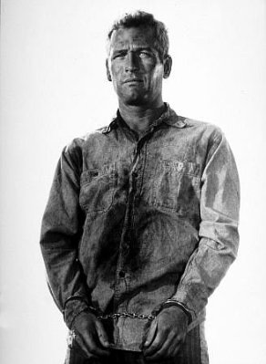 Cool Hand Luke photo