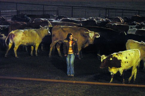 Fast Food Nation photo