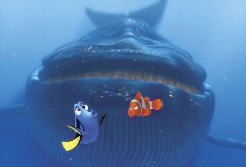 Finding Nemo photo