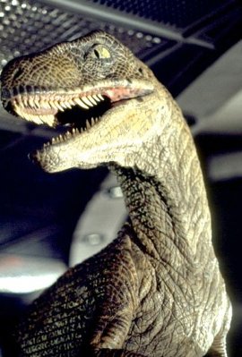 Jurassic Park photo