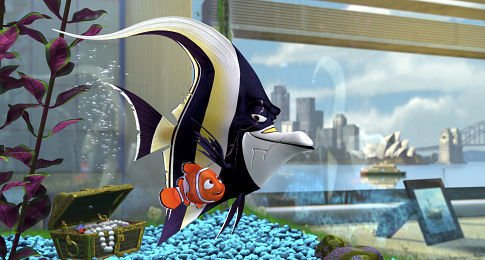 Finding Nemo photo