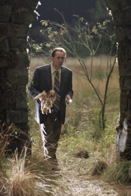 The Wicker Man photo