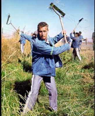 Cool Hand Luke photo