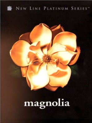 Magnolia photo