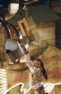 Lara Croft Tomb Raider: The Cradle of Life photo