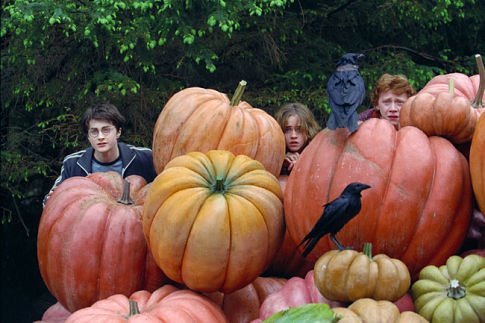 Harry Potter and the Prisoner of Azkaban photo