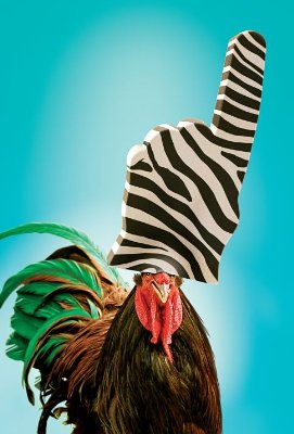 Racing Stripes photo