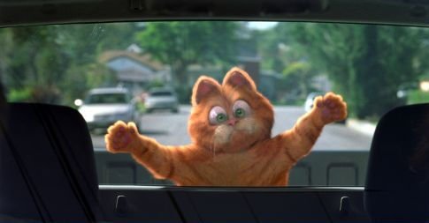 Garfield photo