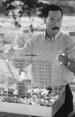 Doctor Dolittle photo