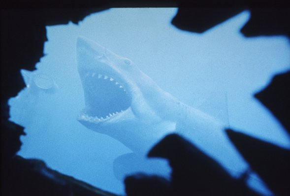 Jaws photo