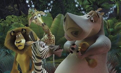 Madagascar photo