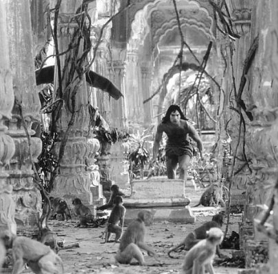 The Jungle Book photo