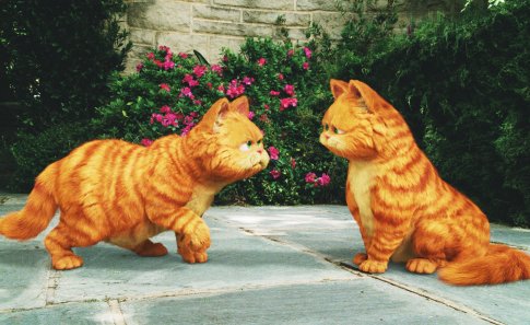 Garfield: A Tail of Two Kitties photo