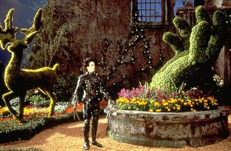 Edward Scissorhands photo