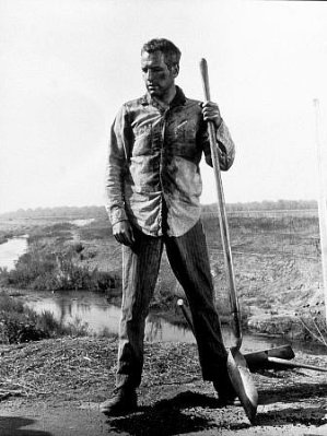 Cool Hand Luke photo
