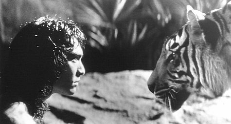 The Jungle Book photo