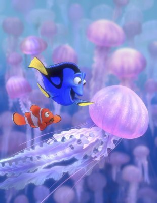 Finding Nemo photo