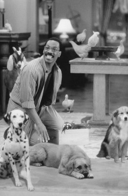 Doctor Dolittle photo