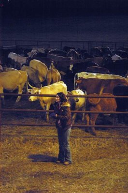 Fast Food Nation photo