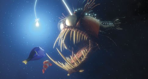 Finding Nemo photo