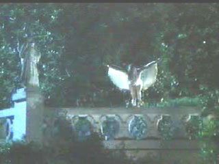 The Master of Disguise photo