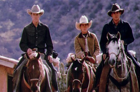 All the Pretty Horses photo