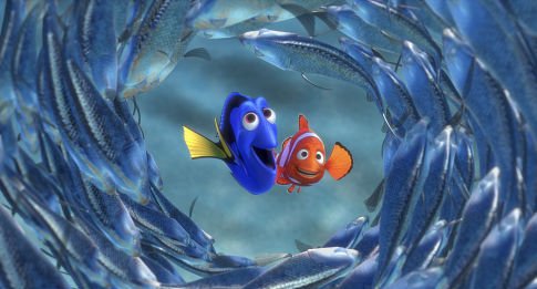 Finding Nemo photo