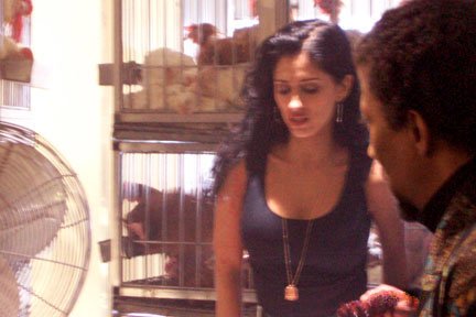 Good Night to Die, A photo