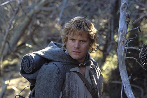 The Lord of the Rings: The Return of the King photo