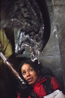 AVP: Alien vs. Predator photo